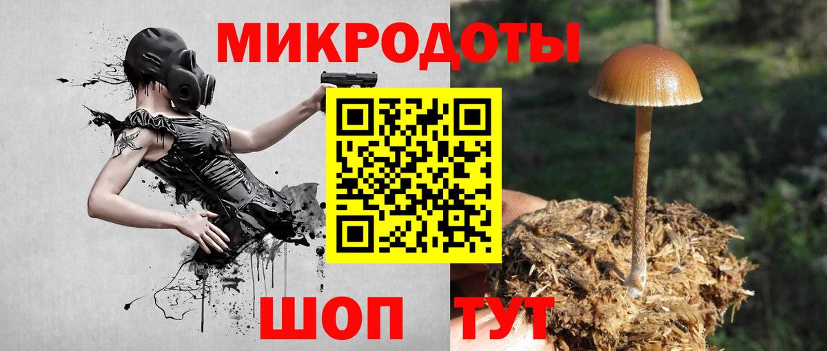 Псилоцибиновые грибы GOLDEN TEACHER Новокубанск