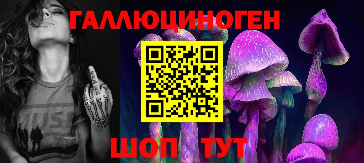 Псилоцибиновые грибы мицелий  Вход с VPN  Новокубанск 